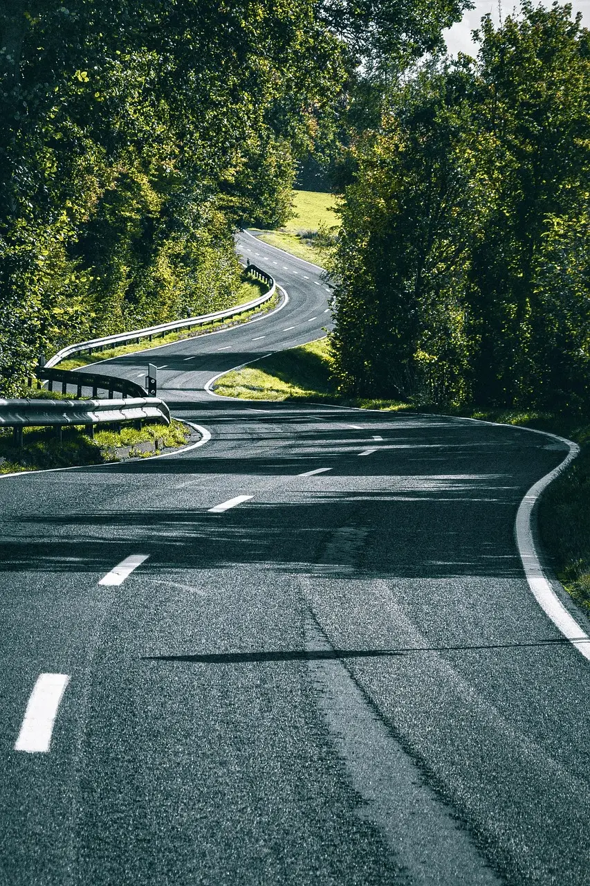 road, path, asphalt, curve, traffic, country road, nature, forest, automobile, to travel, landscape